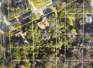 224 Fredricka Rd, Debary, FL 32713