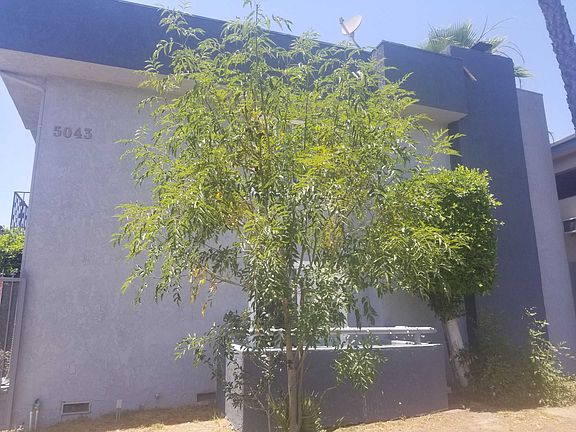 2nd image of 5043 Buffalo Ave APT 5