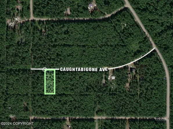 19918 E Caughtabigone Ave, Talkeetna, AK 99676