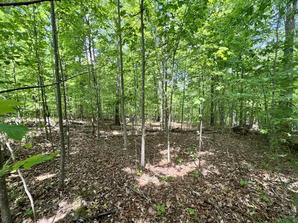 0 Sarvis Ridge Rd, Normandy, TN 37360