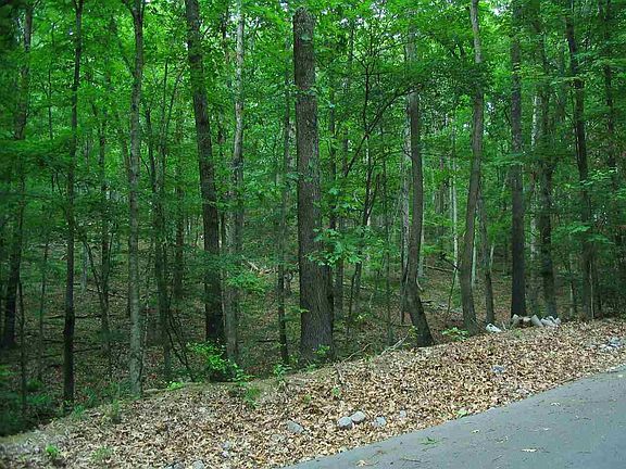 2nd image of 202 Toqua Ln