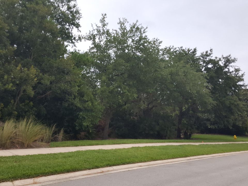 2nd image of 100 Hickory Hill Dr