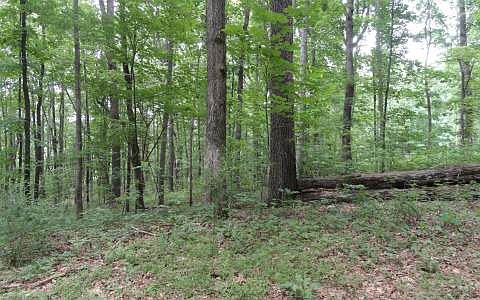 1st image of LOT 99 Timberline Drive Young Harris Lot 99