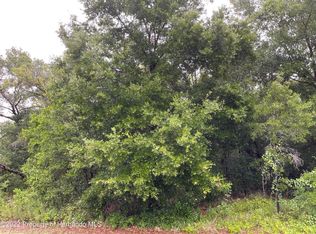 Maximilian Ave, Spring hill, FL 34609