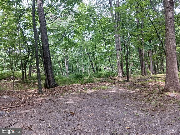 4th image of 6 Wild Apple Ln