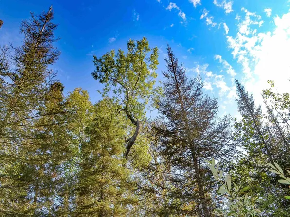 320 N Caps Trl, Lutsen, MN 55612