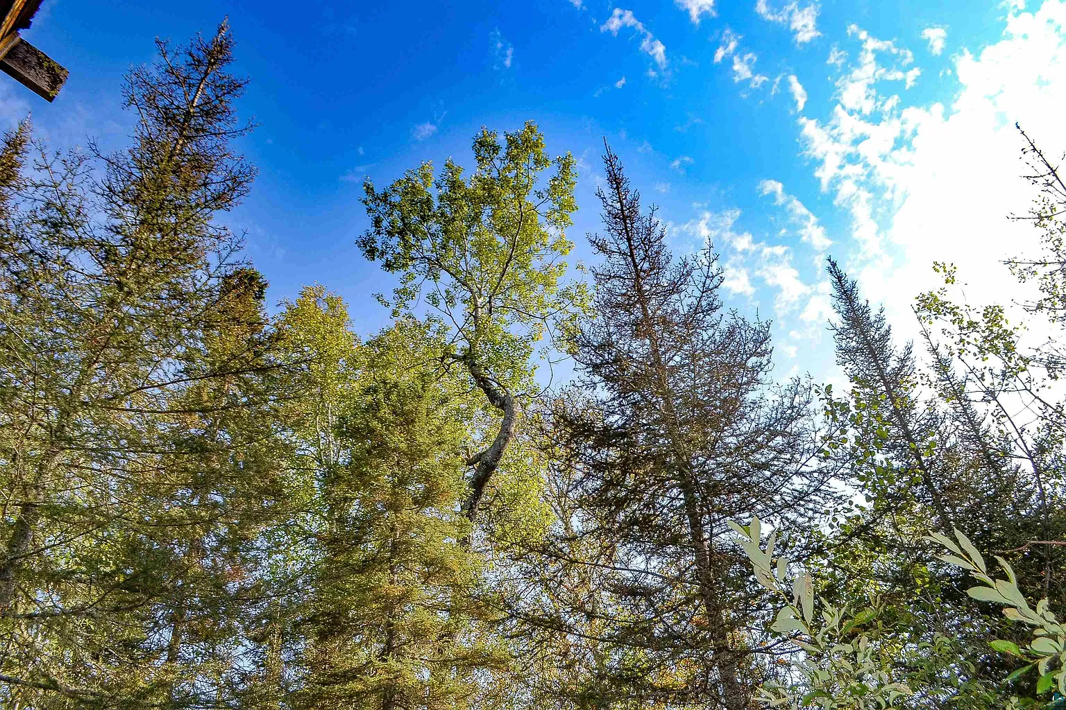 320 N Caps Trl photo 1