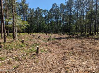 Borzik Rd, Saucier, MS 39574