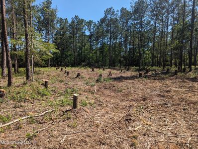 Borzik Rd, Saucier, MS, 39574