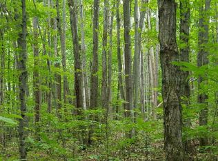 Teton Rdg, Gaylord, MI 49735