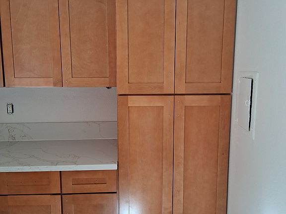 Beautiful cabinets and pantry