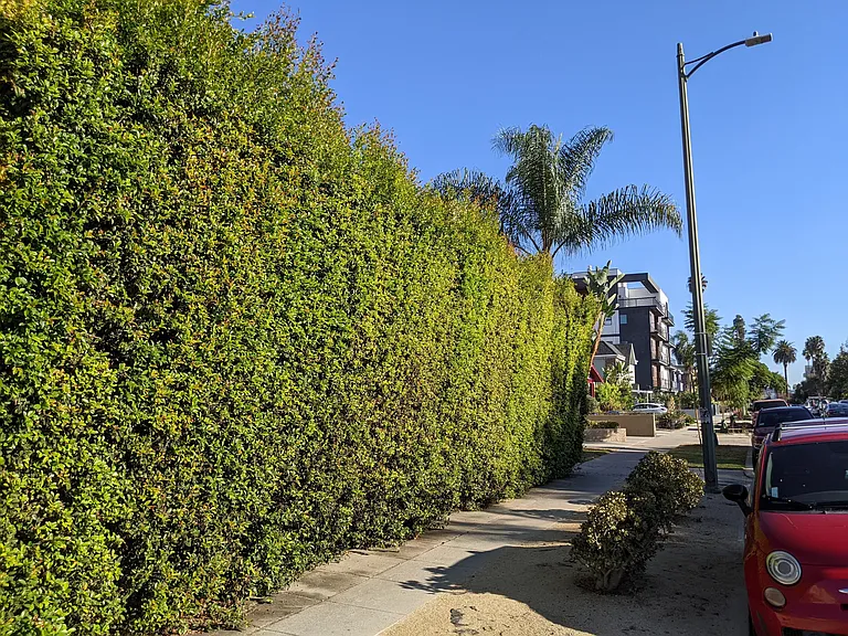 3646 Jasmine Ave — Photo 19