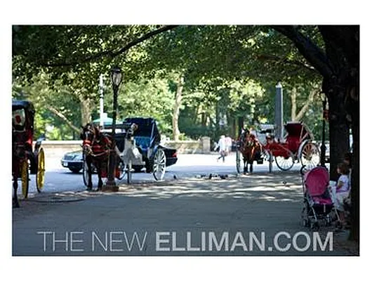 Rented by Douglas Elliman | media 6