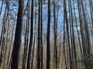 626 Holiday Lake Rd #4, Pamplin, VA 23958