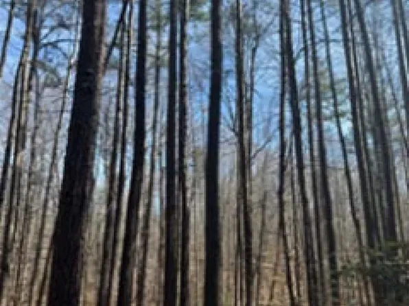 626 Holiday Lake Rd #4, Pamplin, VA 23958