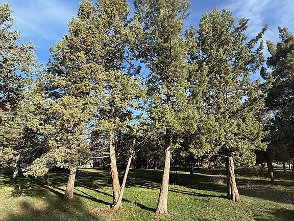 4th image of 0 Rock Dove Ct Lot 231
