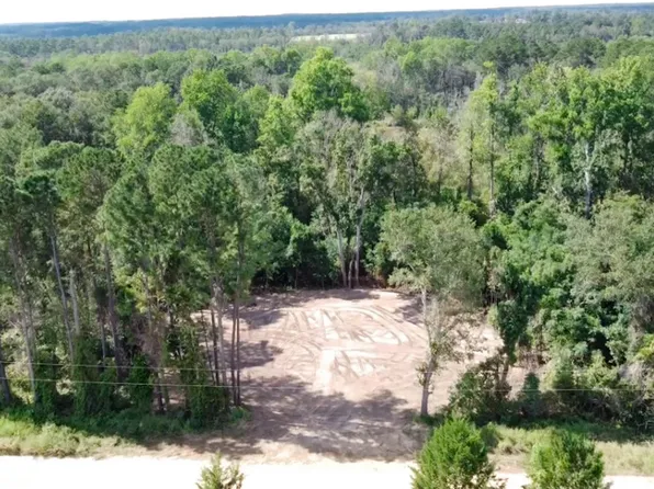 1139 Groover Old Mill Rd, Statesboro, GA 30458