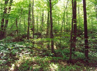 The Wilderness, Honesdale, PA