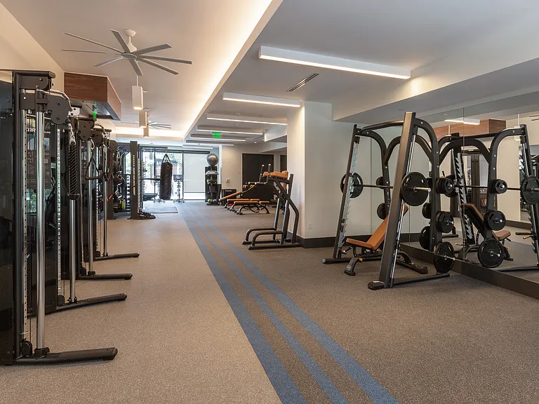 Fitness Center Strength Equipment