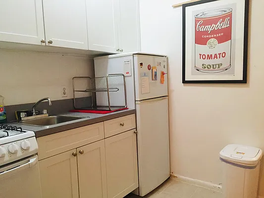 Rented by Manhattan Flats | media 13