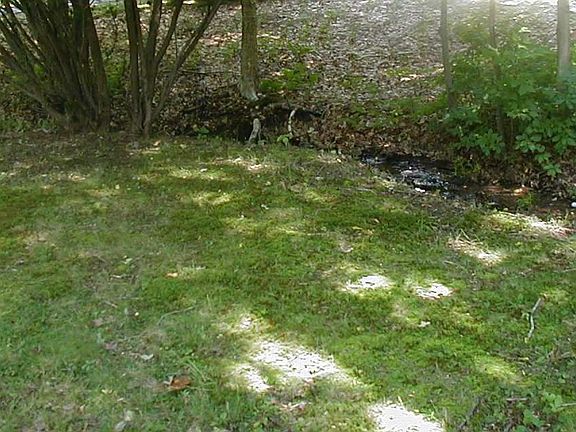 Stream