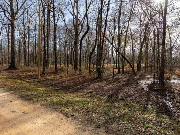 0 River Oaks Landing Cir #41, Orrville, AL 36767