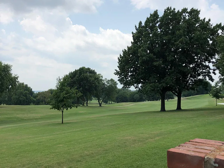 Golf course views from backyard