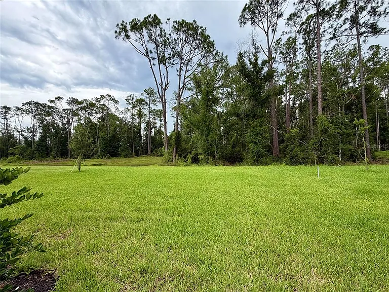33901 Landsman Loop — Photo 22