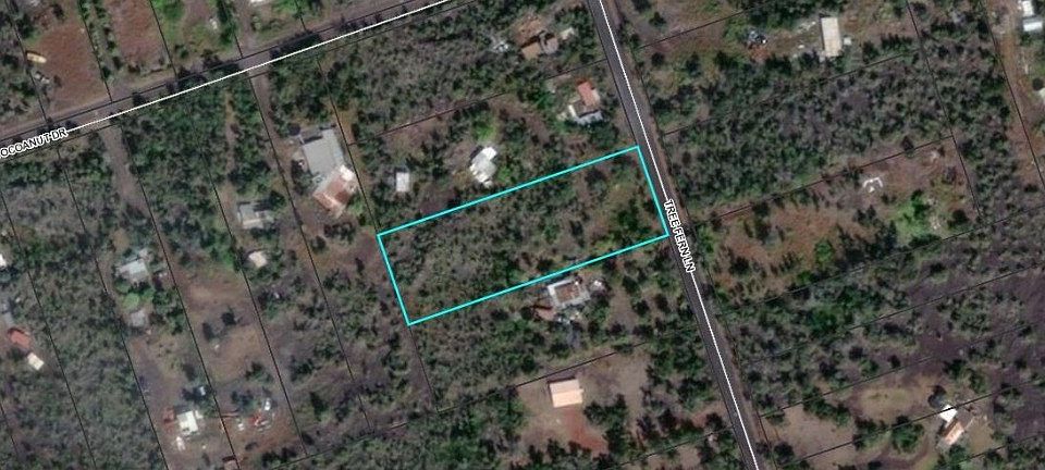 2nd image of Tree Fern Ln Lot 12