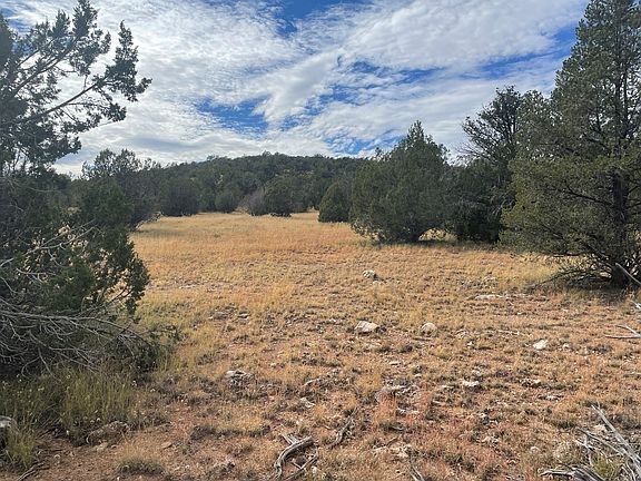5th image of 52840 N Conquistador Pkwy
