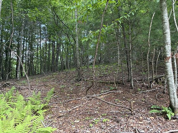 4th image of Lot 22 Woodland Circle
