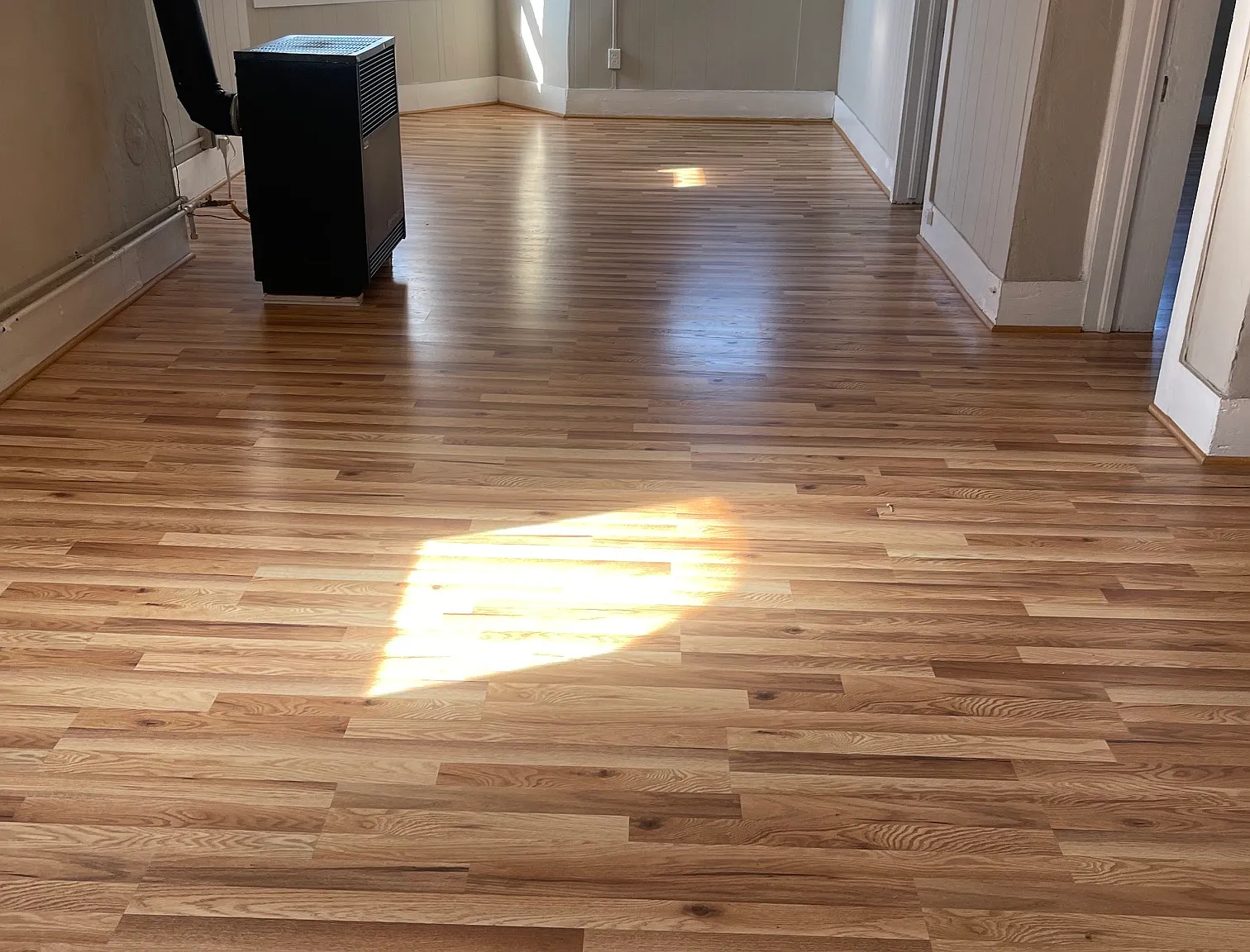 1 bed, 1000 sqft, $775 — Photo 3