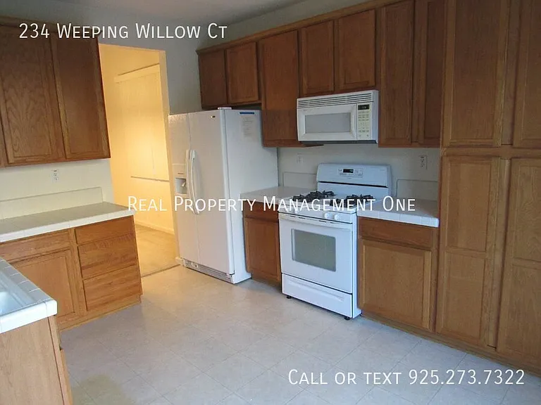 234 Weeping Willow Ct — Photo 7
