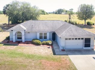 37000 Slice Ln, Grand Island, FL 32735