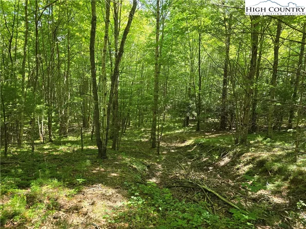 Lot 50 Deer Spring Ln/White Tail Trail, West Jefferson, NC 28694