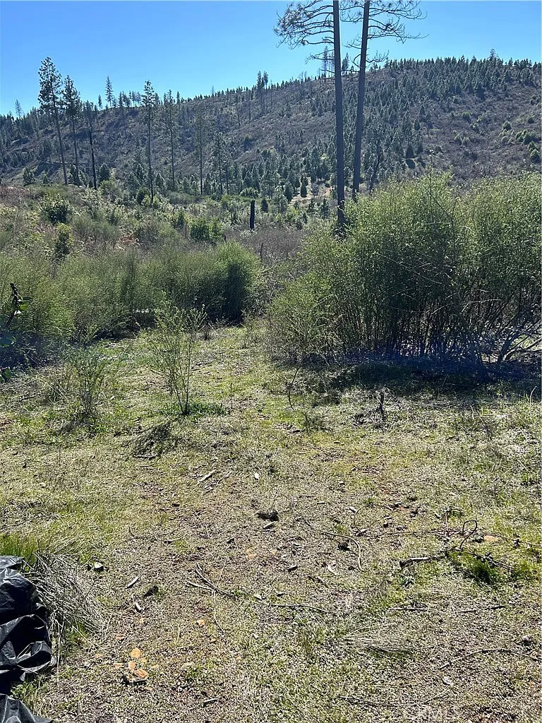 1234 Hog Ranch Rd photo 1