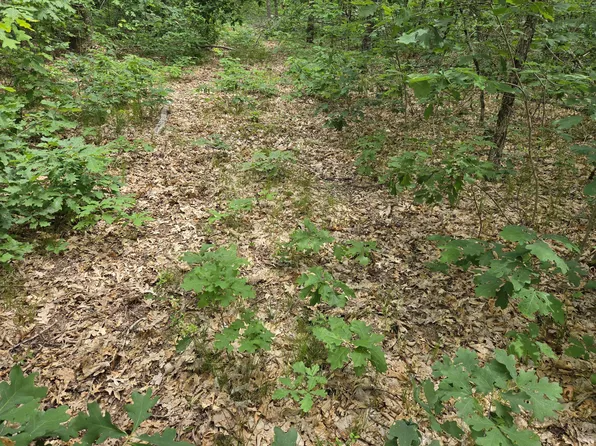 V/l 10 13 W Oliver Rd, Baldwin, MI 49304