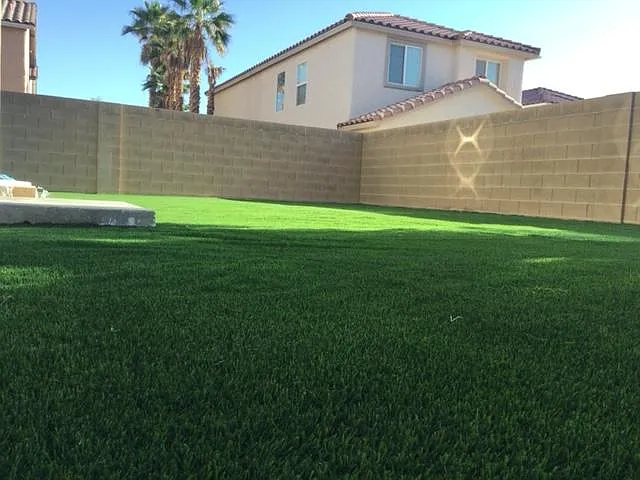 10280 Purple Primrose Dr — Photo 7
