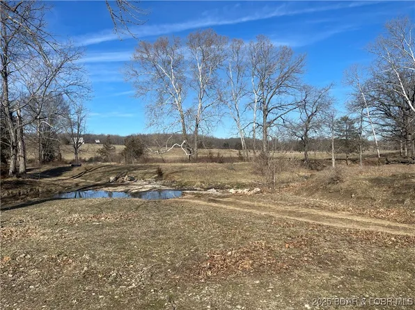 Three Creek Rd, Preston, MO 65732