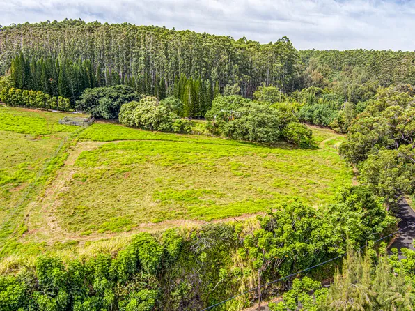 36-2615 Laupahoehoe Point Rd Lot 1, Ookala, HI 96774