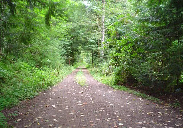 Private road leading to the house