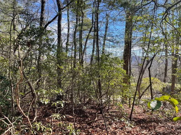 0 Willow Run Ln Lot 16, Zirconia, NC 28790