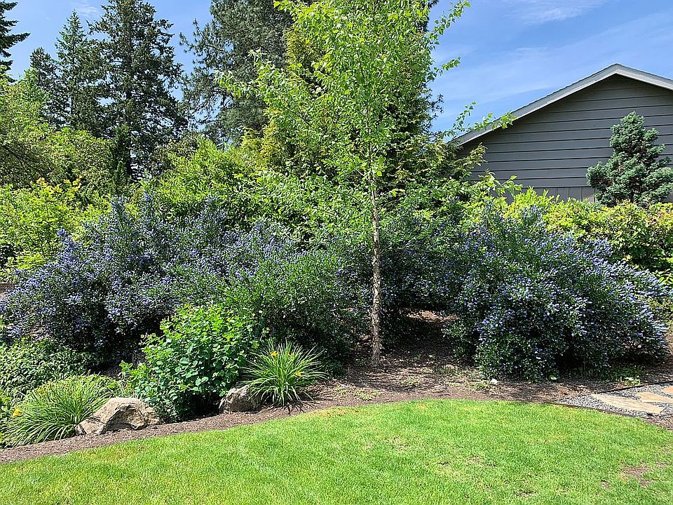 2nd image of 2051 Crest Dr