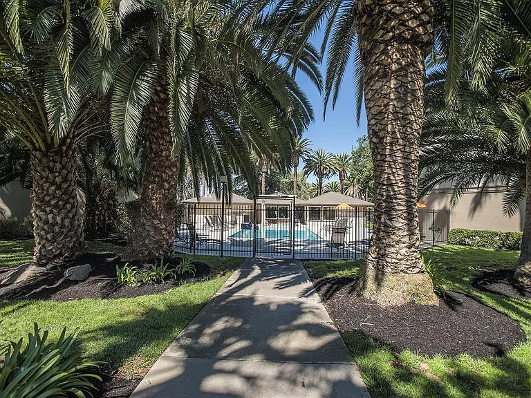 Villa Palms Apartment Homes — Photo 13