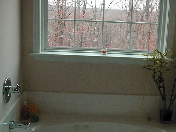 Jacuzzi in Master Bath