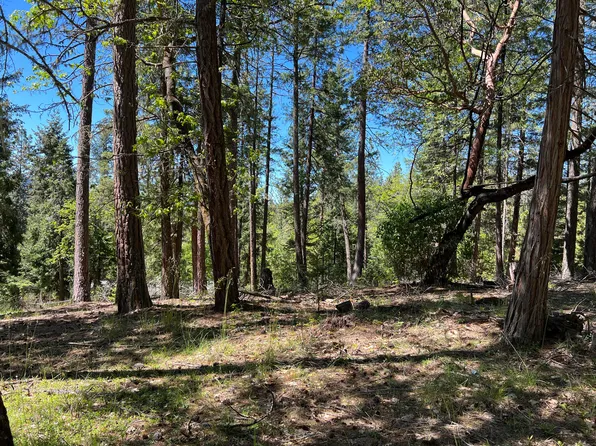 348 Flounce Rock Rd, Prospect, OR 97536