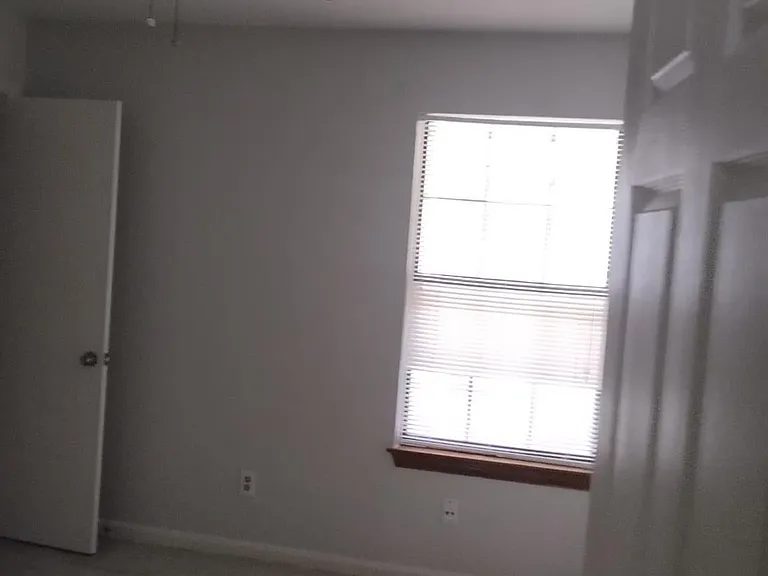 3414 Bristlecone Trl — Photo 6