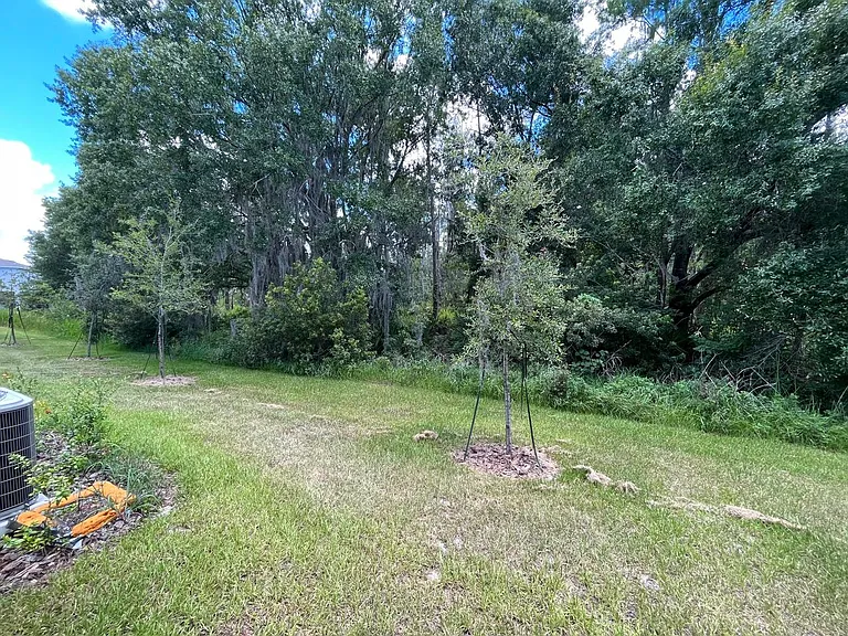 32867 Pez Landing Ln — Photo 33