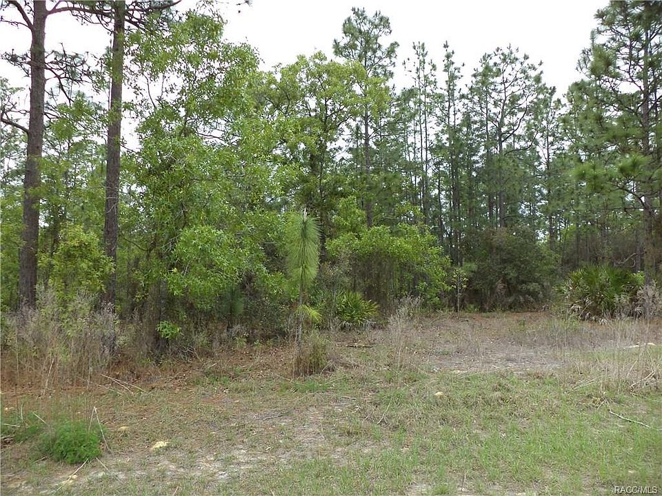 2nd image of 2668 W Begonia Dr