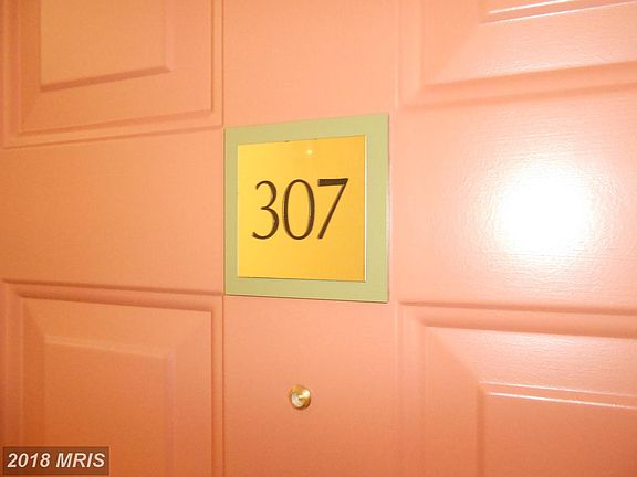 4th image of 3830 9th St N APT 307E